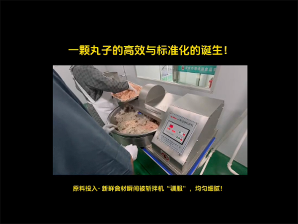 丸子機視頻